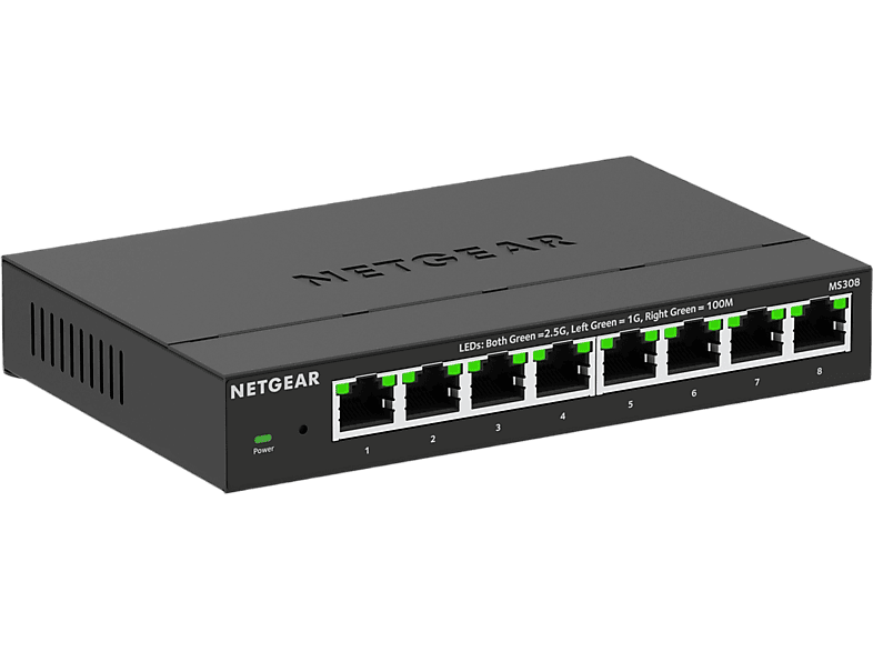 Netgear MS308