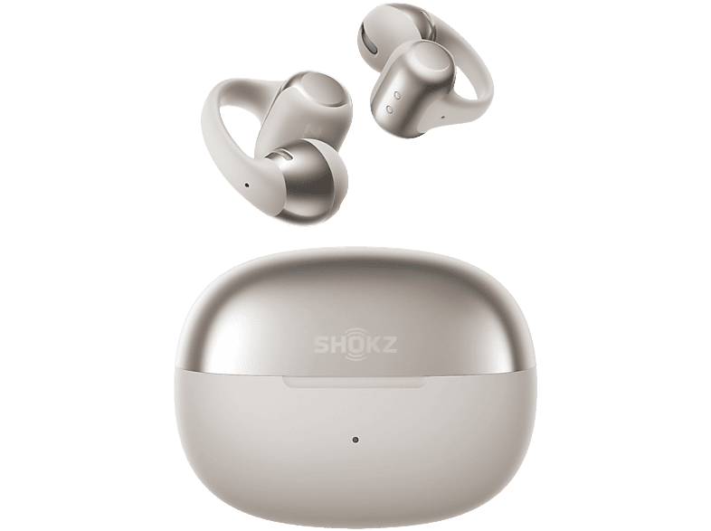 Shokz OpenDots ONE Zilver