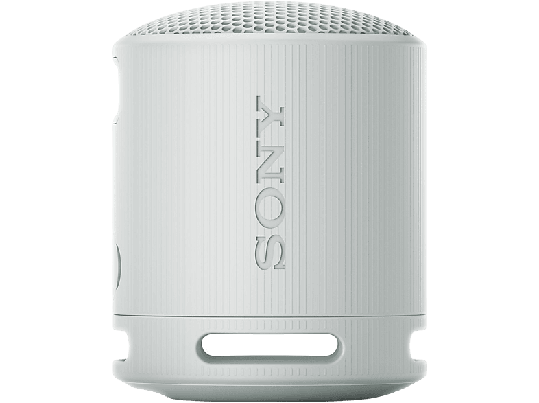 SONY SRS-XB100H GREY