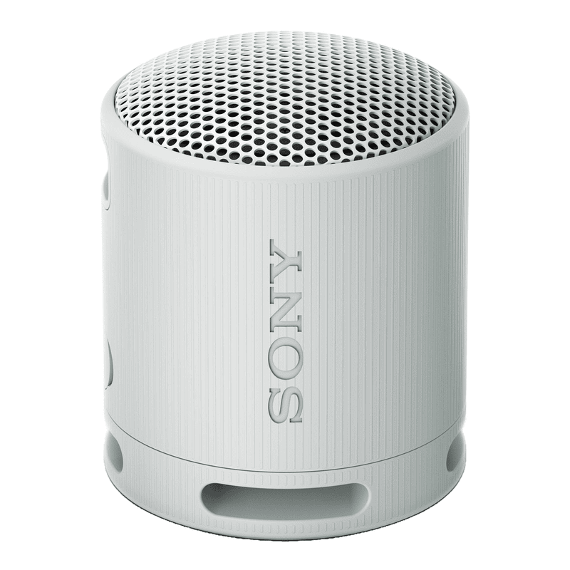 SONY SRS-XB100H GREY