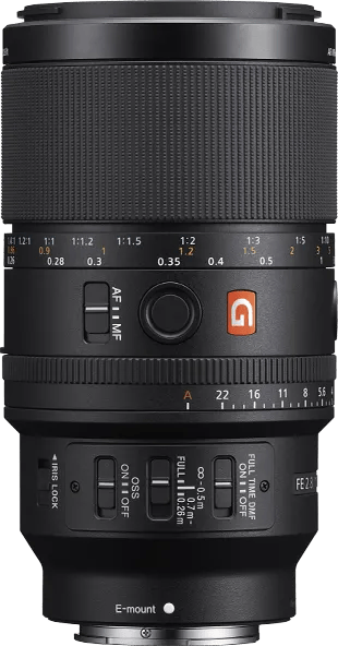 Sony FE 100mm f/2.8 Macro GM OSS