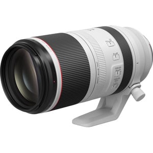 Canon RF 100-500mm f/4.5-7.1L