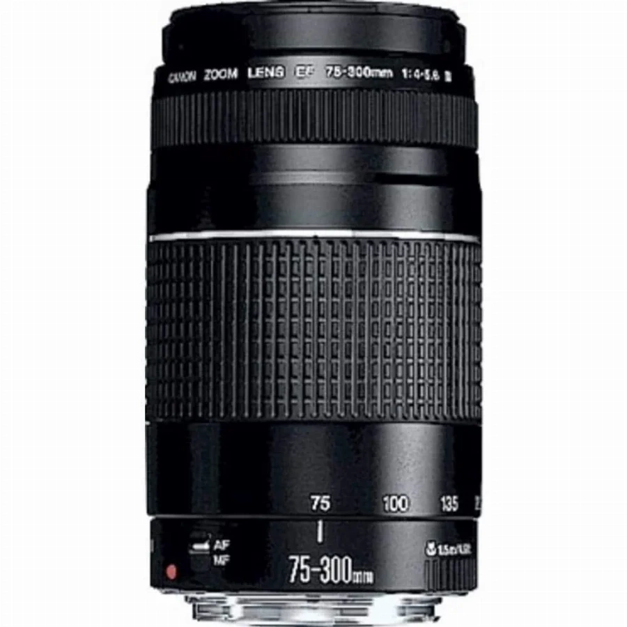 Canon EF 75-300mm f/4.0-5.6