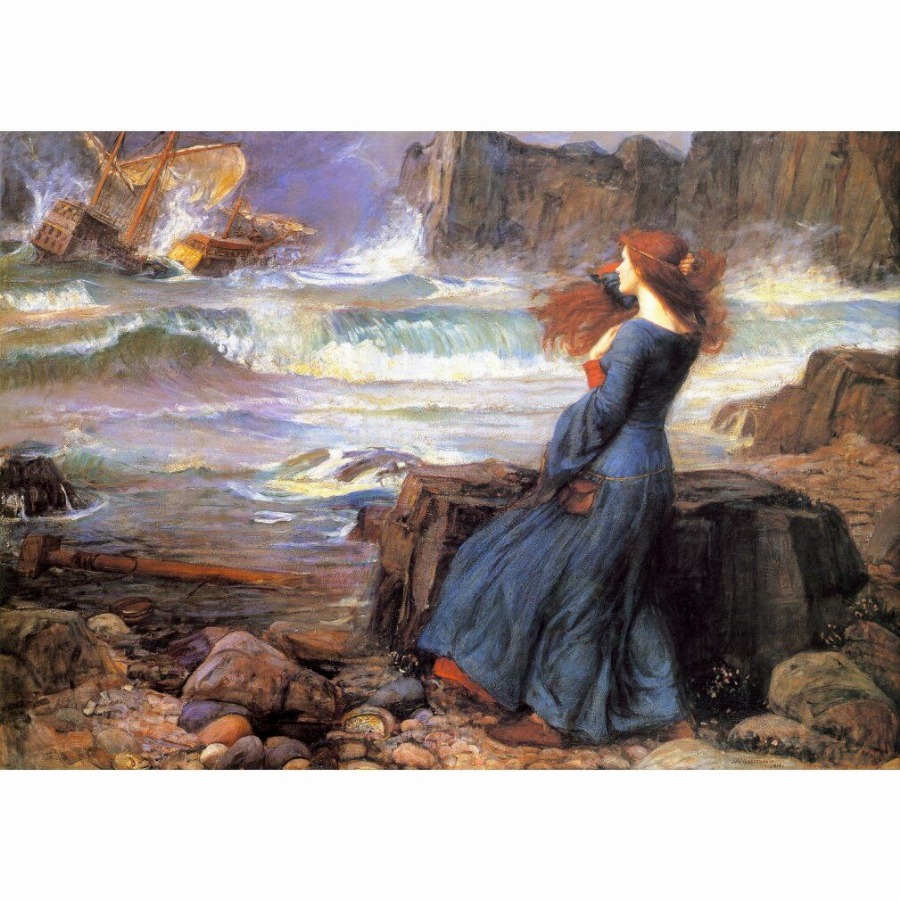 enjoy Puzzel Miranda in Storm 1000 delen 1