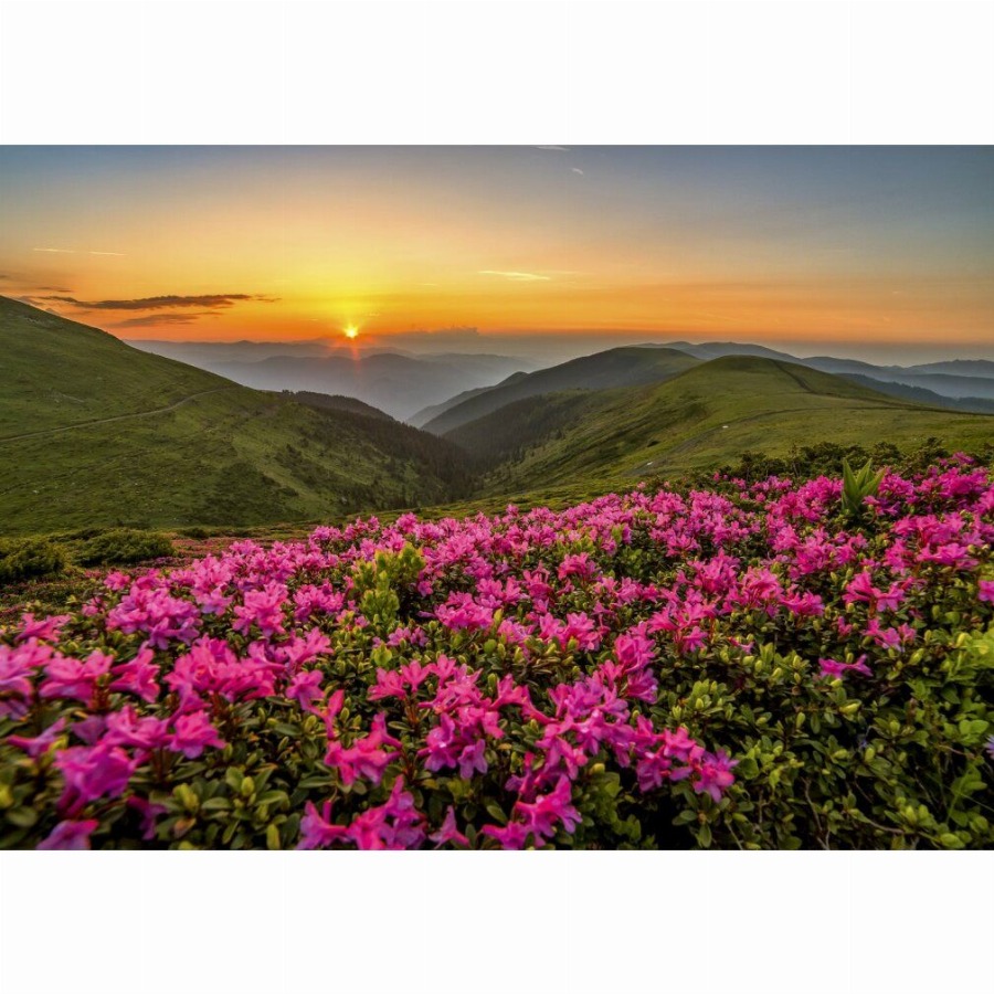 enjoy Twilight Puzzel 1000 stuks 1