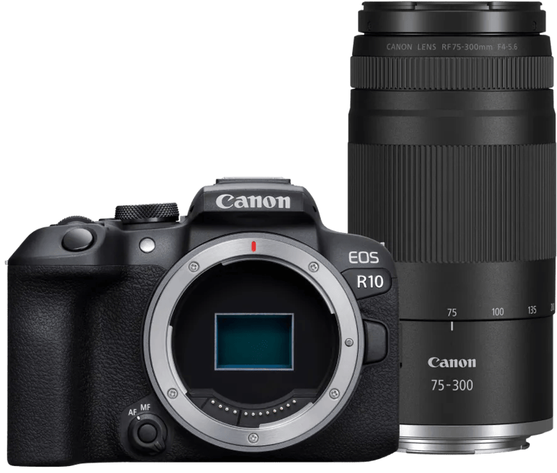 Canon EOS R10 + RF 100-400mm f/5.6-8 IS USM