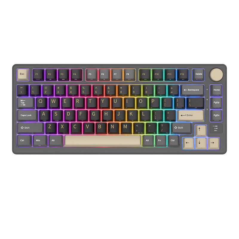 RK ROYAL KLUDGE M75 Phantom Mechanisch Toetsenbord met OLED Smart Display en Volumeknop, 2.4 G/USB-C/BT Gasket Mounted 75% Layout Draadloos Gaming Toetsenbord met 81 Toetsen, RGB A…