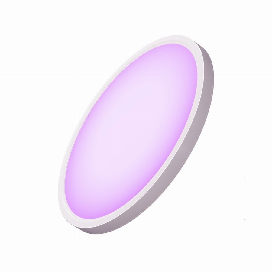 Govee Ceiling Light 12 inch