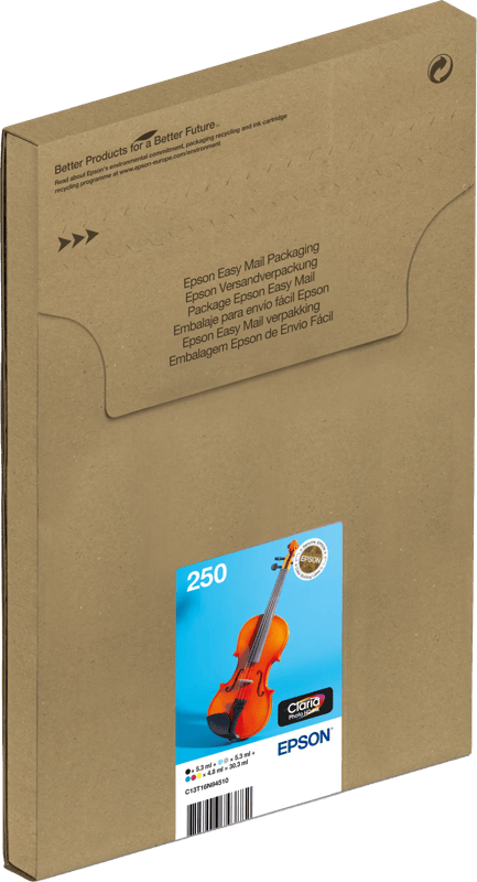Epson 250 Combo Pack
