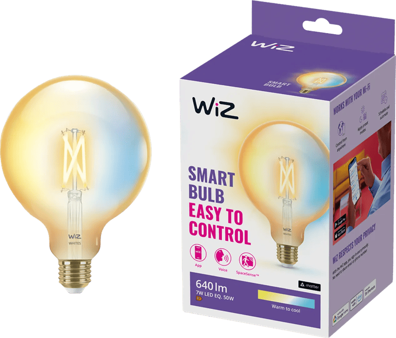WiZ Smart Filament lamp Globe XL - Warm tot Koelwit Licht - E27