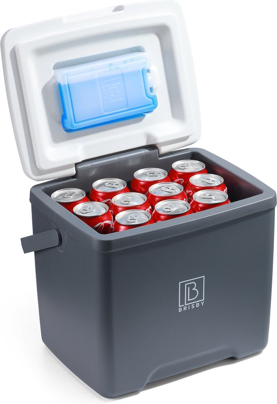 Brisby Koelbox 13 Liter – Grijs – Tot 40 uur isolatie – 2 koelelementen vergrendeld in deksel – Compacte koelbox voor auto en camping – Frigobox